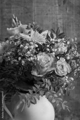 preview bw