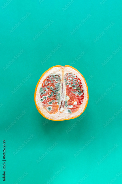 image to crop