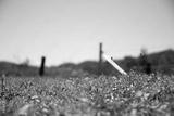 preview bw