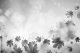 preview bw