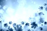 preview cold