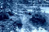preview cold
