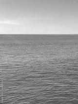 preview bw
