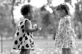 preview bw