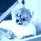 preview cold