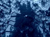 preview cold