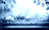 preview cold