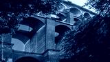 preview cold