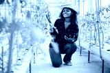 preview cold