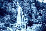 preview cold