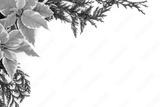 preview bw