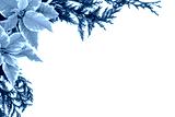 preview cold