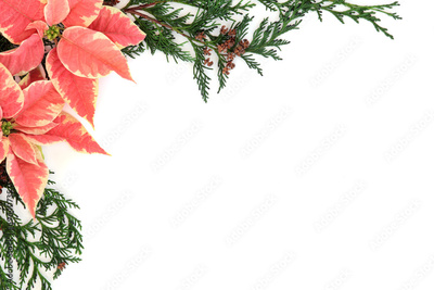 image to crop