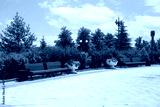 preview cold