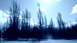 preview cold