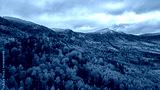 preview cold