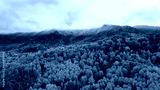preview cold