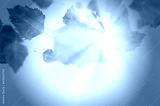 preview cold