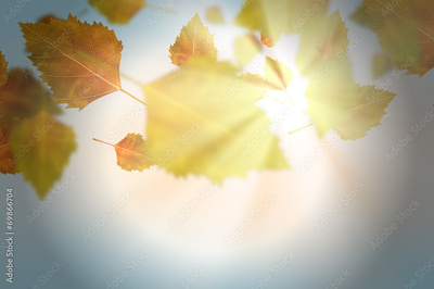 image to crop