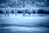 preview cold