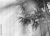 preview bw