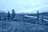 preview cold