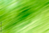 preview original