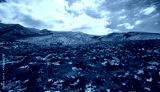 preview cold