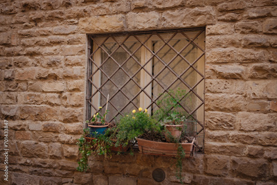 image to crop