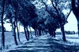 preview cold