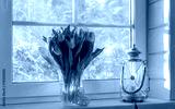 preview cold