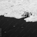 preview bw