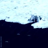 preview cold