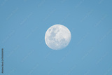 preview original
