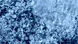preview cold