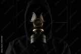 preview original
