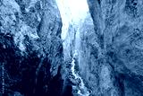 preview cold