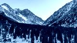 preview cold