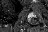 preview bw