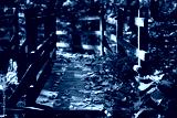 preview cold