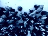 preview cold