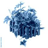 preview cold