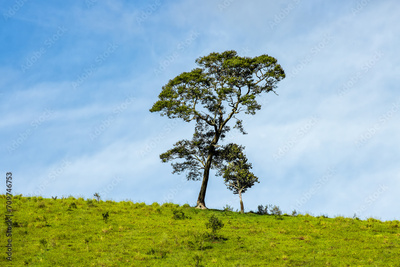 image to crop