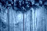 preview cold
