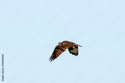 image to crop