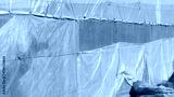 preview cold