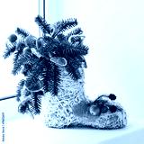 preview cold