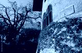 preview cold