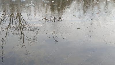 image to crop