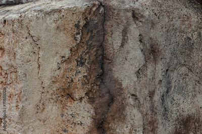 image to crop